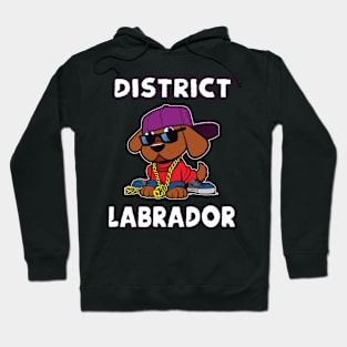 District Labrador cool Hip Hop Dogs Design Hoodie